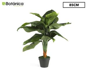 Cooper & Co. Artificial 85cm Dieffenbachia Plant - Green