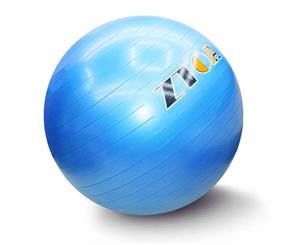 GND Fitness Fit Exercise Ball - Blue