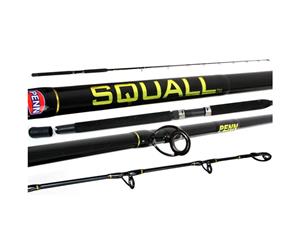 PENN Squall PSQ561H OH Boat Rod 5ft 6in 15-24kg 1pc