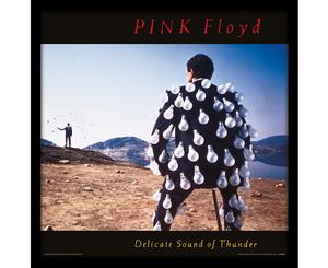 Pink Floyd - Delicate Sound of Thunder 12 Inch Album Cover Framed Print