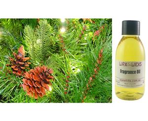 Scotch Pine - Fragrance Oil