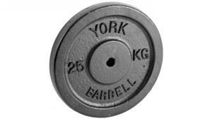 York 25kg Cast Iron Plate