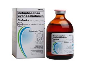 Bayer Coforta 100 Phosphorous Vitamin B12 100Ml
