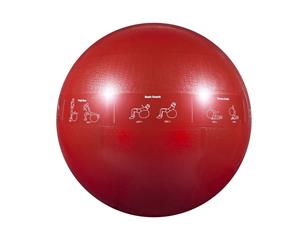 GoFit Proball 65cm Unisex Professional Grade Stability Exercise Ball (Red)