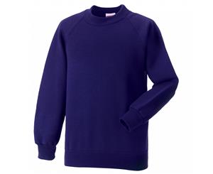 Jerzees Schoolgear Childrens Raglan Sleeve Sweatshirt (Pack Of 2) (Purple) - BC4372