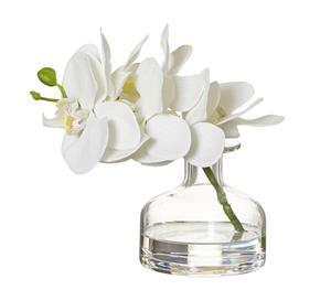 Rogue Phalaenopsis Glass Vase 19x15x19cm White