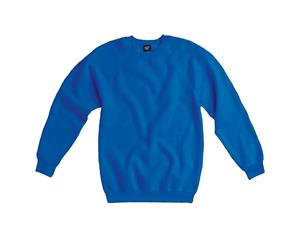Sg Mens Raglan Sleeve Crew Neck Sweatshirt (Royal) - BC1069