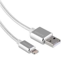 Antsig Type A To Lightning Charge/Sync USB Cable