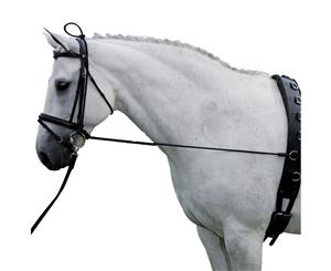 Chambon Elastic Horse Training Lunge Ride Strap Black Full Size Adjustable - Black