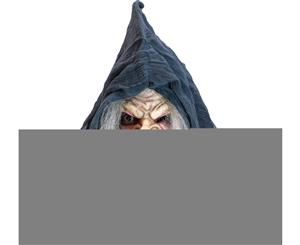 Harmelinda Witch Adult Mask