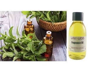 Peppermint & Eucalyptus - Fragrance Oil