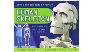 Press Out And Build Human Skeleton