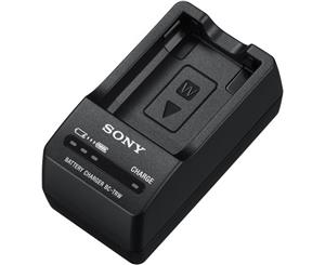 Sony ACCTRW W Series Charger & Battery Kit For NPFW50