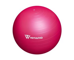 Workout Wiz Swiss Balls Yoga Home Gym Exercise Pilates Fitness 75cm Pink