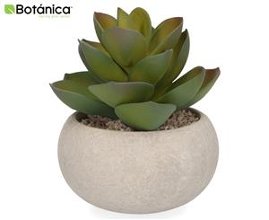 Botanica Succulent in Grey Concrete Pot Artificial Plant