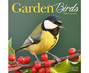 Garden Birds 2020 Wall Calendar - Closed Size  30 x 30 cm (12 x 12 Inches)