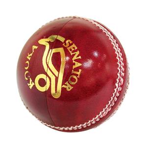 Kookaburra Senator 156g Senior Cricket Ball