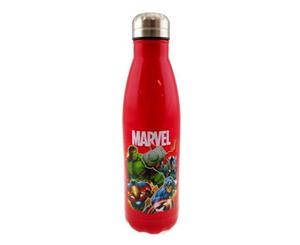 Marvel Avengers Group Insulated Hot Cold Stainless Steel Tea Coffee Water Bottle