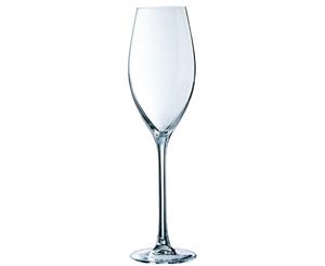 Pack of 24 Chef & Sommelier Grand Cepages Champagne Flutes 240ml