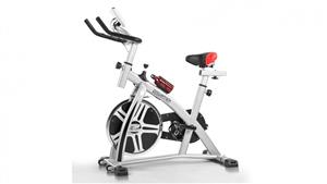 PowerTrain Exercise Spin Bike - Silver