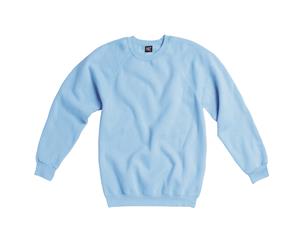 Sg Kids Raglan Sleeve Crew Neck Sweatshirt (Sky Blue) - BC1071