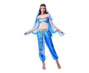 Bristol Novelty Womens/Ladies Harem Dancer Costume (Blue/White/Gold) - BN1485