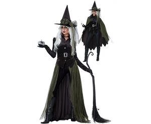 Gothic Wicked Witch Adult Sorceress Costume