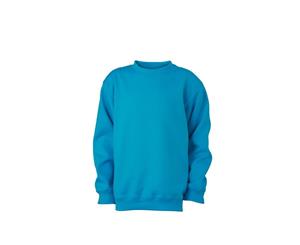 James And Nicholson Childrens/Kids Round Heavy Sweatshirt (Turquoise) - FU481