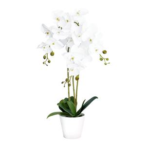 UN-REAL 65cm Artificial White Orchid