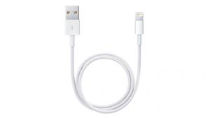 Apple 0.5m Lightning To USB Cable