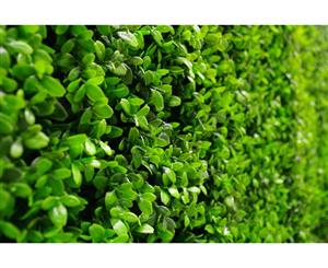 Artificial Deluxe Buxus Panels UV Stabilised 1m X 1m