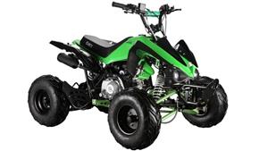GMX The Beast 110cc Sports Quad Bike - Green