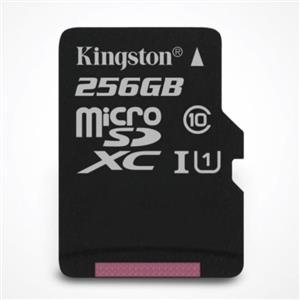 Kingston Canvas Select (SDCS/256GB) 256GB microSDHC SD Adapter