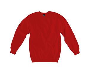 Sg Kids Raglan Sleeve Crew Neck Sweatshirt (Red) - BC1071
