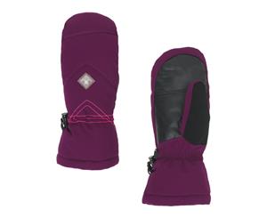 Spyder INSPIRE Gore-Tex PrimaLoft Women's Ski Mitten violet - Purple
