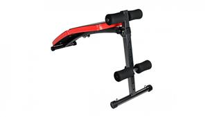 PowerTrain Inclined Sit Up Bench