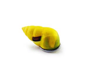5cm Real Sea Snail Shell in Bright Yellow Rare in this Colour Exotic Beach Theme - Yellow