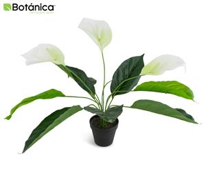 Botanica Artificial 55cm Peace Lily
