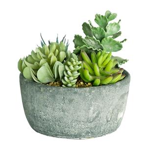 UN-REAL 19cm Artificial Succulents Quin In Charcoal Pot