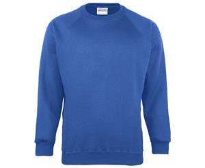 Maddins Kids Unisex Coloursure Crew Neck Sweatshirt / Schoolwear (Ocean Royal) - RW841