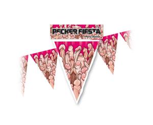 Pecker Fiesta Party Banner - 6 metres