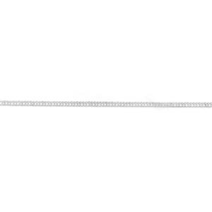 Silver 25cm Double Curb Anklet