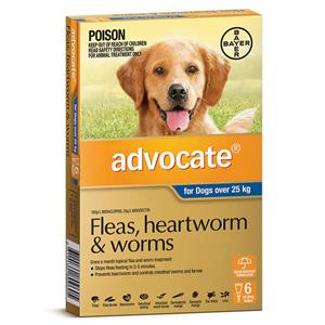 Advocate for Dogs Extra Large over 25 kg 6 pack
