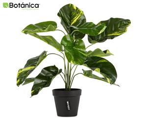 Botanica Artificial 45cm Dieffenbachia Plant - Green