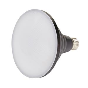 HPM PAR38 LED Lamp E27 Globe