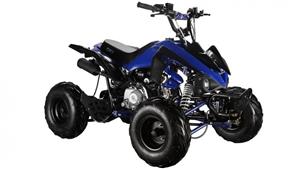 GMX The Beast 110cc Sports Quad Bike - Blue