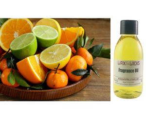 Citrus Fruit & Green Mint - Fragrance Oil