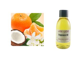 Coconut & Mandarin - Fragrance Oil