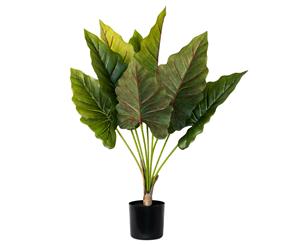 Holly Collection | Potted Elephant Ear Plant | 73cm