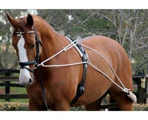Zilco Horse Lunge Training System Aid Equvi To Pessoa Develop Top Line -